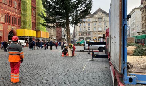 Aufstellen der Weihnachtstanne auf dem Marktplatz im November 2021