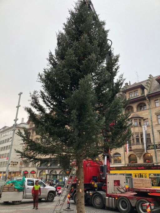 Aufstellen der Tanne auf dem Marktplatz im November 2021
