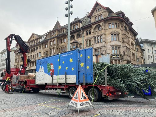 Aufstellen der Tanne auf dem Marktplatz im November 2021