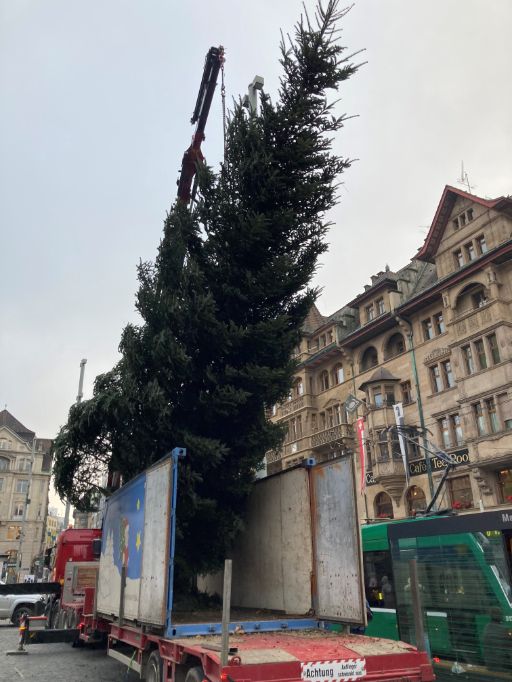Aufstellen der Tanne auf dem Marktplatz im November 2021