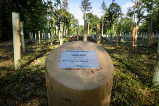 Plakette am Ort der Aufforstaktion