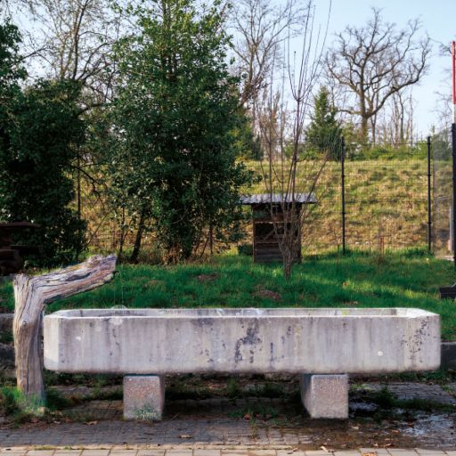 Ein Brunnen beim Werkhof des Forstbetriebs der BG im Hardwald