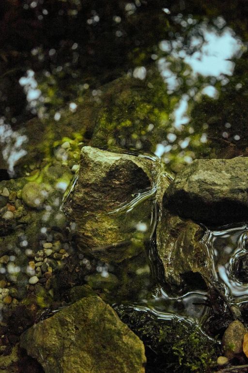 Wasser