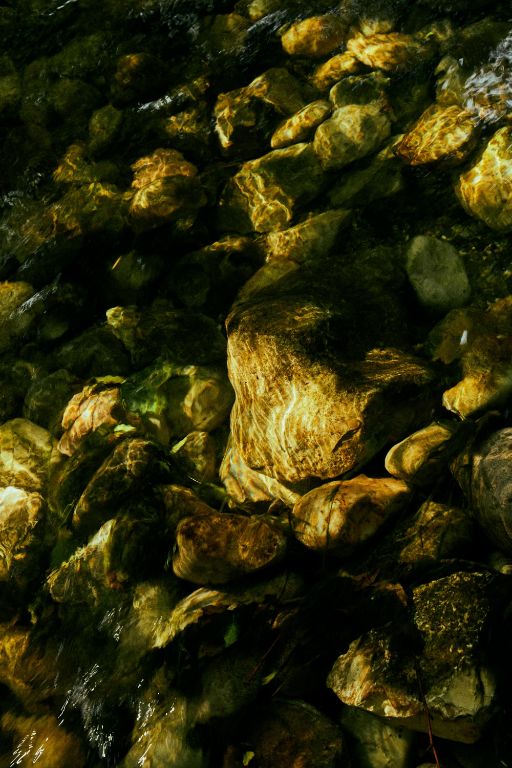 Wasser